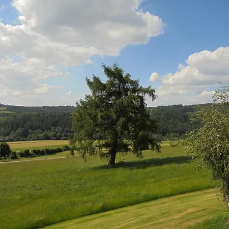 Bauer Mit Wunderschoenem Panoramablick Daire Tännesberg